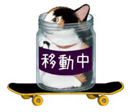 Bottle Cat sticker #9025660