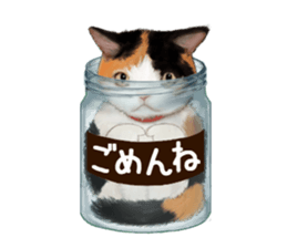 Bottle Cat sticker #9025662
