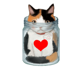 Bottle Cat sticker #9025664