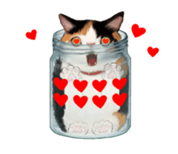 Bottle Cat sticker #9025665