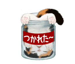 Bottle Cat sticker #9025667