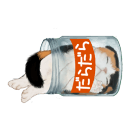 Bottle Cat sticker #9025668