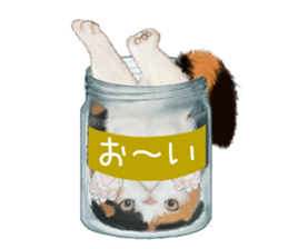 Bottle Cat sticker #9025669