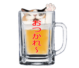 Bottle Cat sticker #9025671