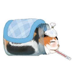 Bottle Cat sticker #9025673