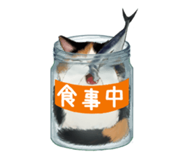 Bottle Cat sticker #9025675