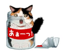 Bottle Cat sticker #9025676