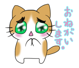 nyanko with the cafe latte color sticker #9027210