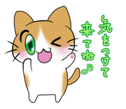 nyanko with the cafe latte color sticker #9027223