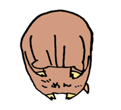 An ordinary wild boars sticker #9027623