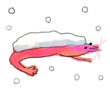 Midwinter of shrimp sticker #9028007