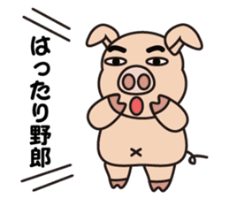 Pig doctor sticker #9029452