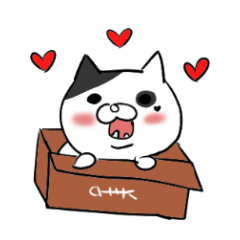 Cute cat x Abbey