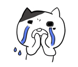 Cute cat x Abbey sticker #9030210