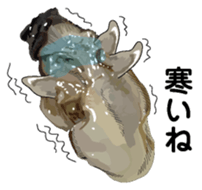 New Year (Oysters) sticker #9030269