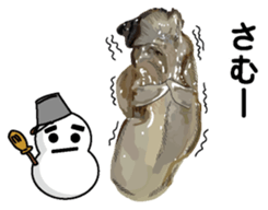 New Year (Oysters) sticker #9030270