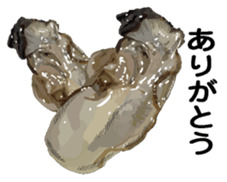 New Year (Oysters) sticker #9030272