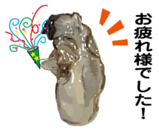 New Year (Oysters) sticker #9030274