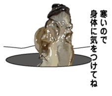 New Year (Oysters) sticker #9030278