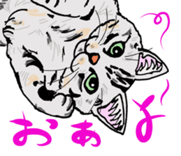 Words that would be said sticker #9031715