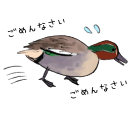 Winter birds sticker #9031817