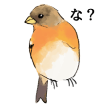 Winter birds sticker #9031820