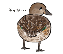 Winter birds sticker #9031821