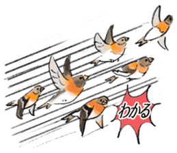 Winter birds sticker #9031824