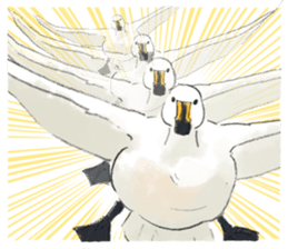 Winter birds sticker #9031830