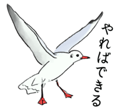 Winter birds sticker #9031832