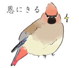 Winter birds sticker #9031833