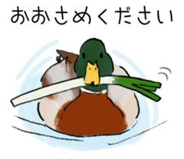 Winter birds sticker #9031835