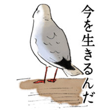 Winter birds sticker #9031836