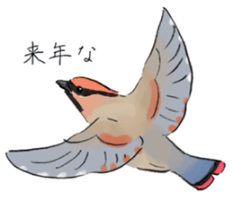 Winter birds sticker #9031837