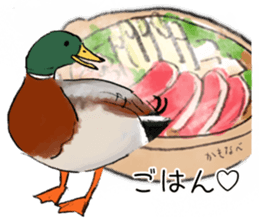 Winter birds sticker #9031839