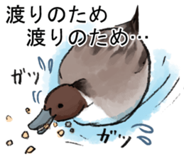 Winter birds sticker #9031840