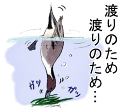 Winter birds sticker #9031844