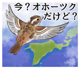 Winter birds sticker #9031845