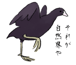 Winter birds sticker #9031846