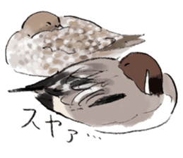 Winter birds sticker #9031848