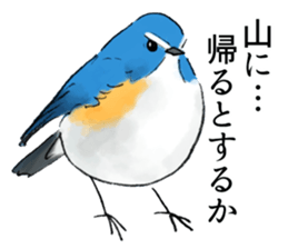 Winter birds sticker #9031855