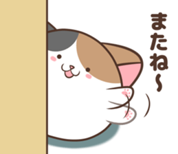 Very round cat 2 sticker #9032175