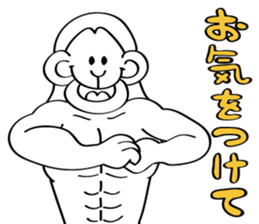 muscle builder of monkey sticker #9032962