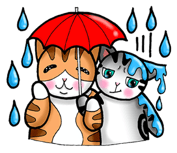 Poker face & Piggy cat Part2 sticker #9033044