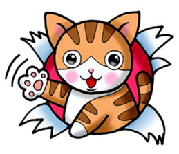 Poker face & Piggy cat Part2 sticker #9033057