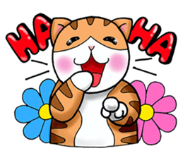 Poker face & Piggy cat Part2 sticker #9033067