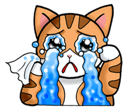 Poker face & Piggy cat Part2 sticker #9033069