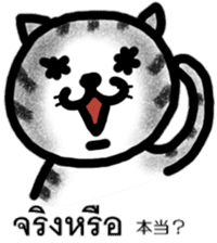 Cute cat Thai and Japanese sticker #9034416