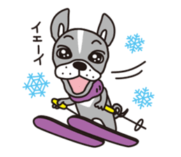 Winter  of dog Baron of my home sticker #9035954