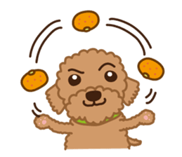 Winter Sticker of toy poodle "Captain" sticker #9036828